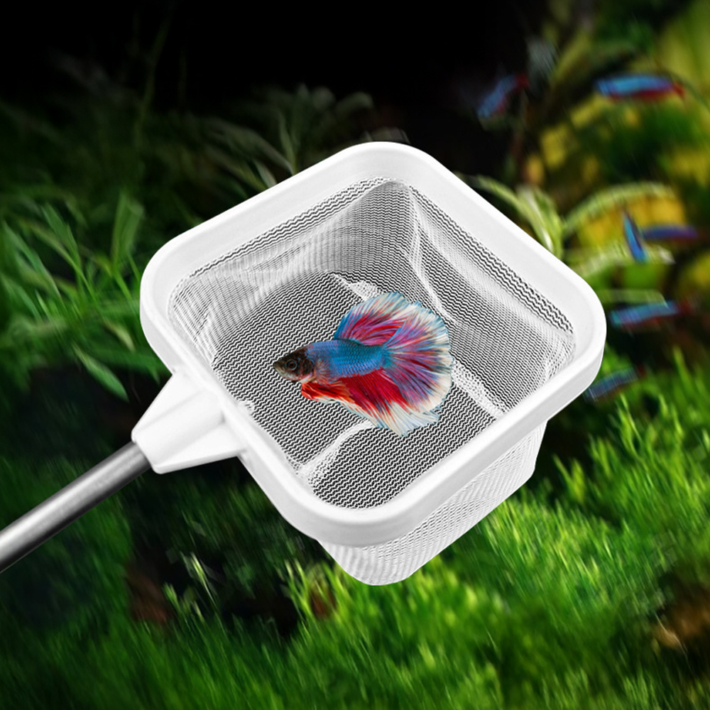 레몽크리프 수족관 스테인리스 스틸 3D 새우 어항뜰채 화이트, 1개 3,750원