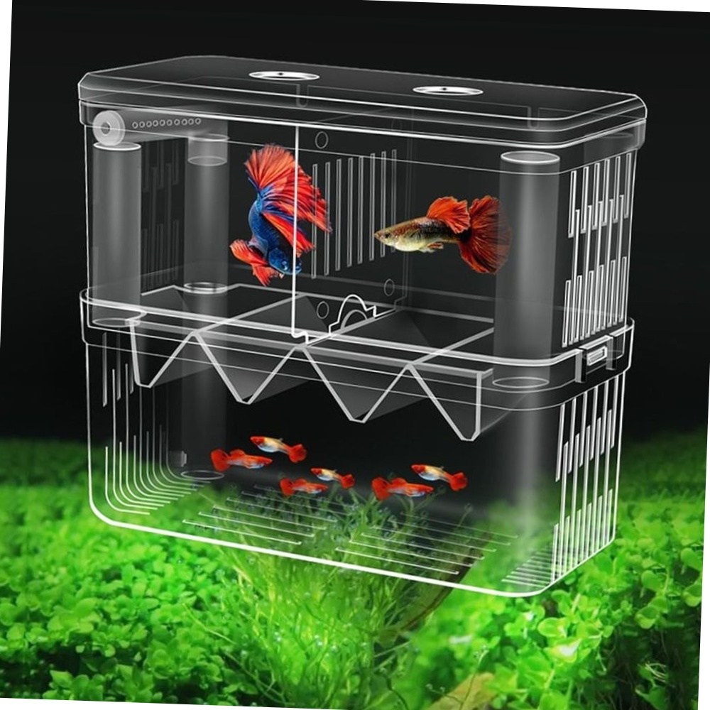 구피 열대어 부화통 번식함 격리통 치어통 대형 2칸 어항 12,910원