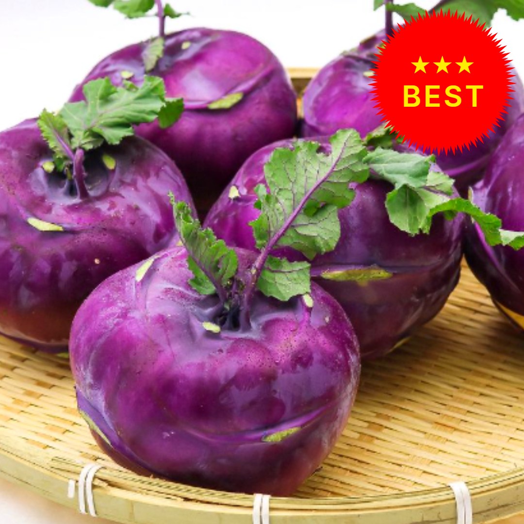 [제주직송특가] 달달아삭 농장직송 제주 콜라비 12,800원