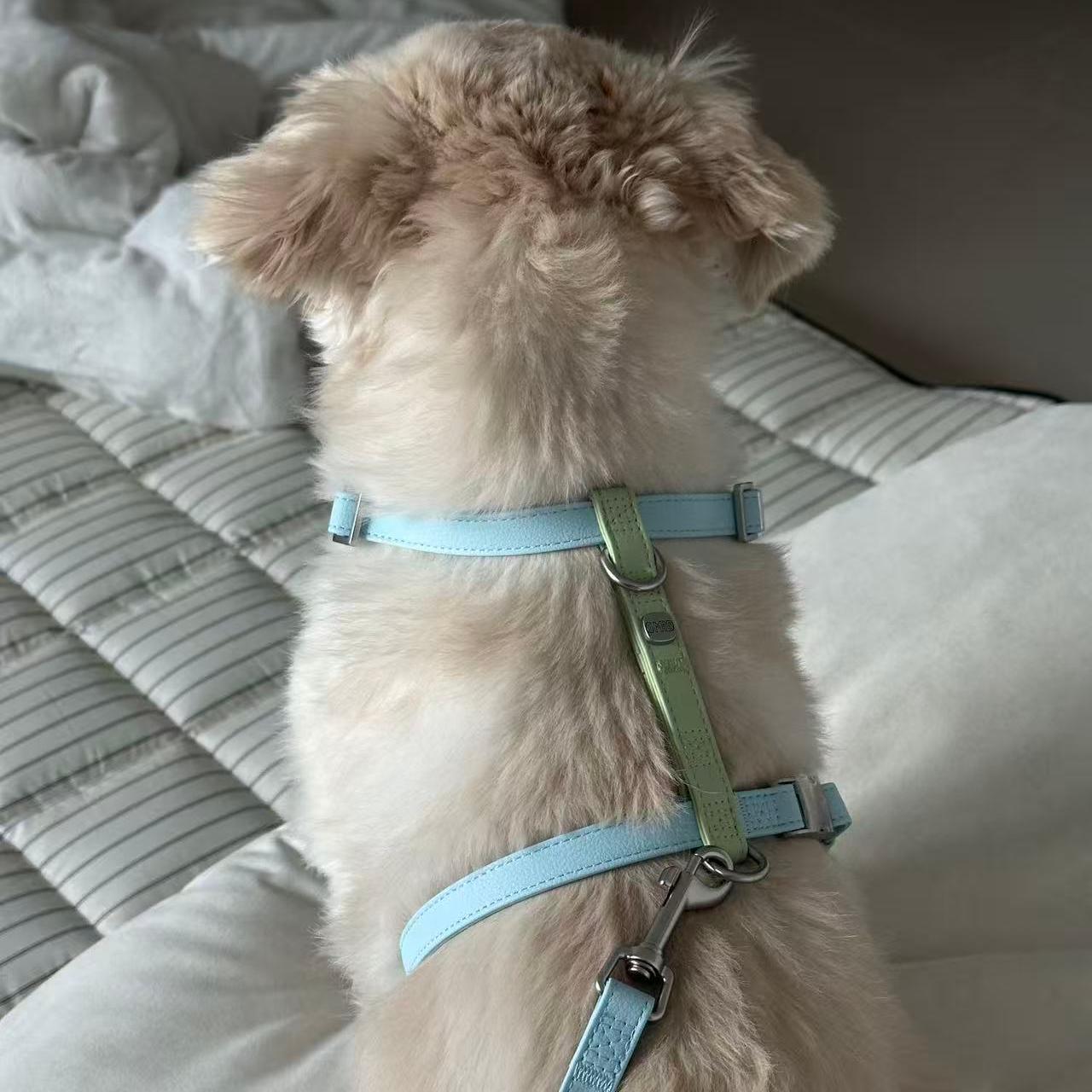 Omid 강아지 하네스 가슴줄 앞섬방지 H형 중소형견용, 블루그린 배색 (하네스), 1개 16,600원