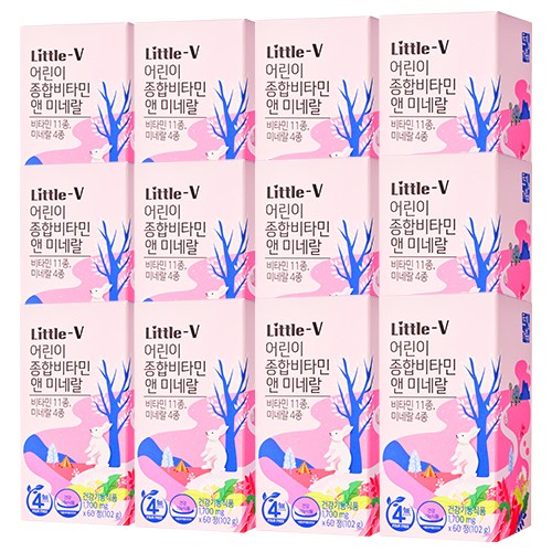 비타민하우스 리틀브이 어린이 종합비타민앤미네랄, 12개, 102g 103,730원