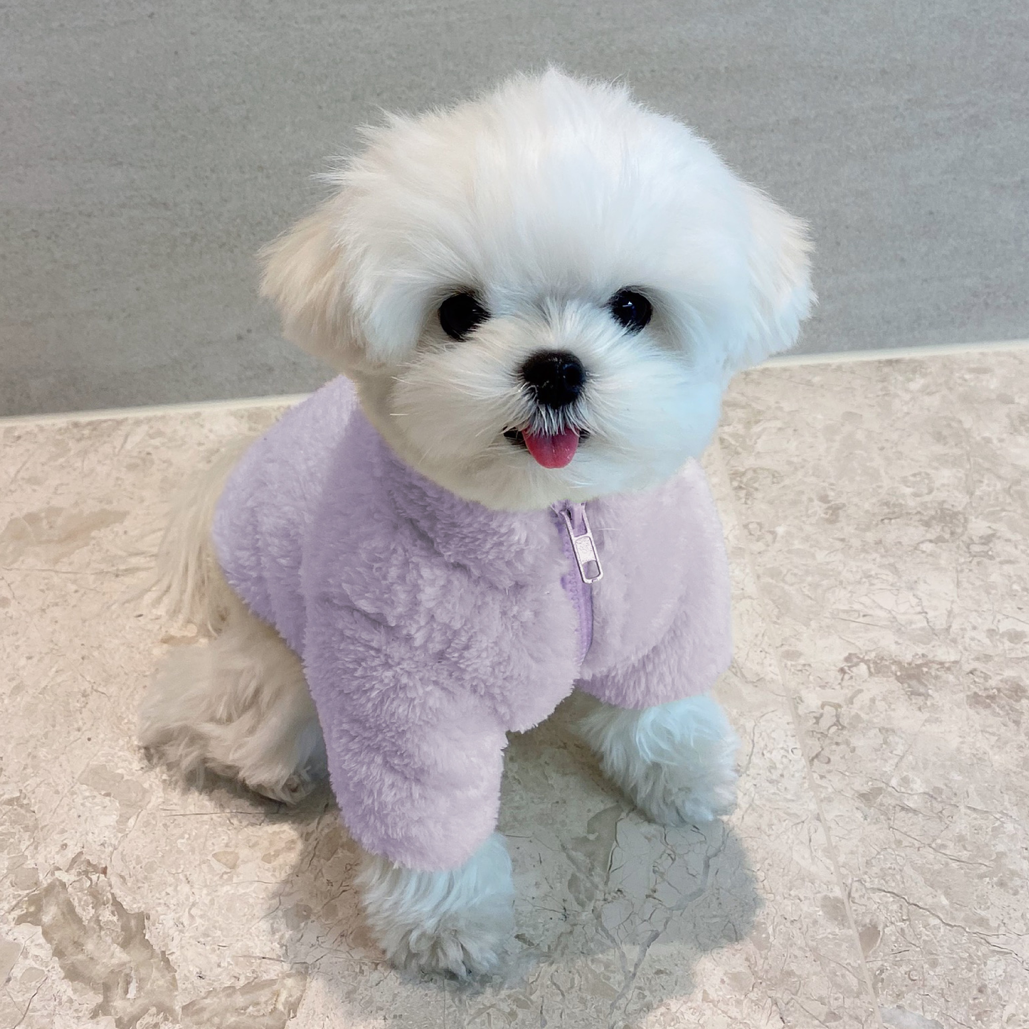 네오핏 강아지 파스텔 후리스, 퍼플, 1개 21,900원