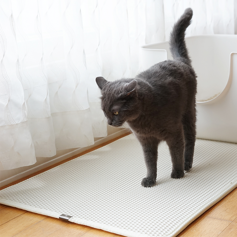 가또블랑코 고양이 사막화방지 감자매트 10,900원