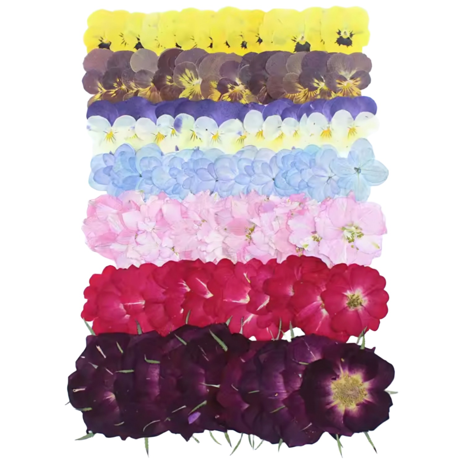 압화종합팩 깔끔한 파스텔&로즈 정원 50p 레진공예 솔체압화, 12500 14,800원