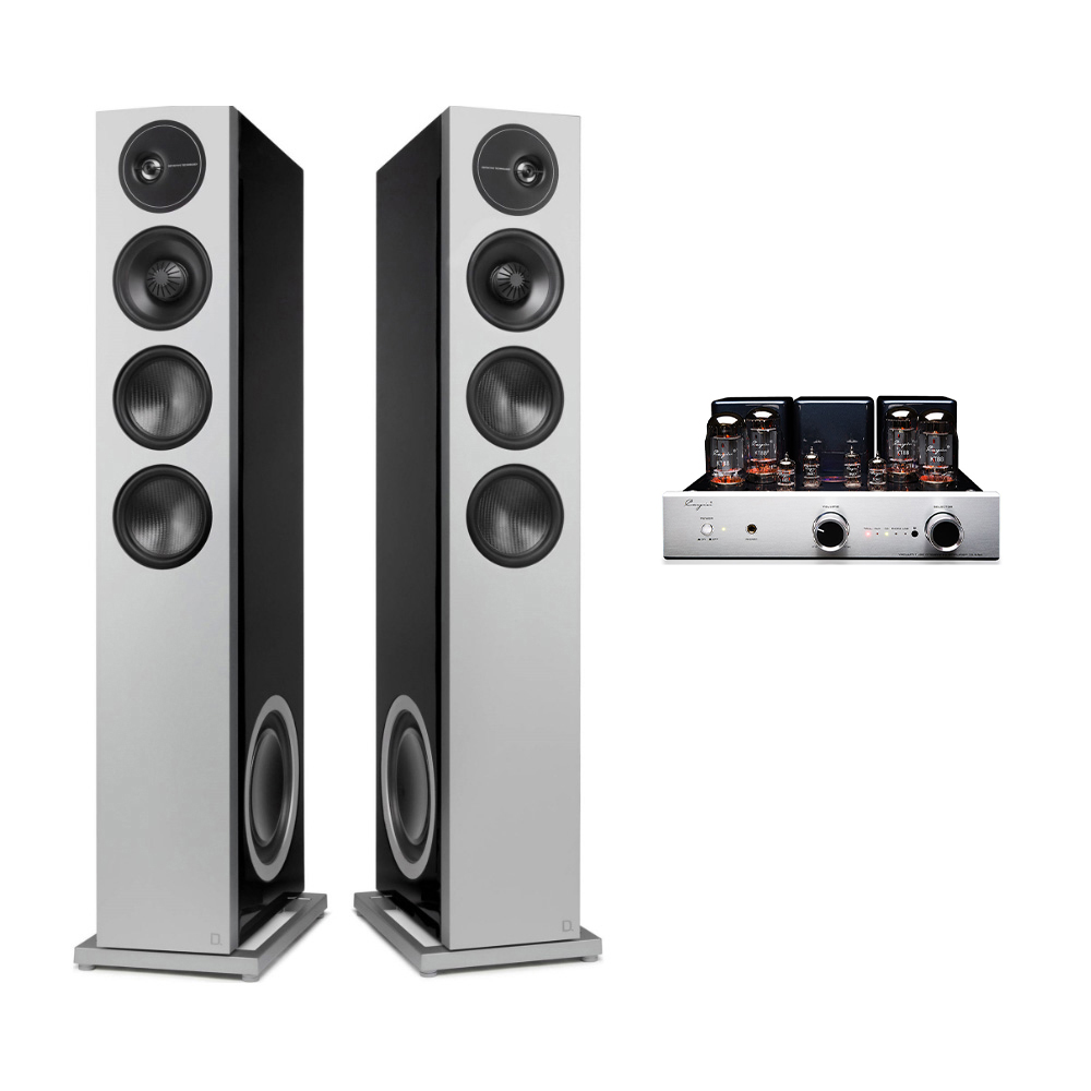 케인(Cayin) CS-55A + 데피니티브테크놀러지 D15 진공관 오디오, 단품 3,918,800원