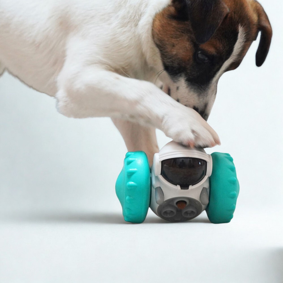 노즈워크 사료통 셀프사료통 애견용품 반려견 반려묘 냥냥이 댕댕이 훈련용품, 1개 14,900원