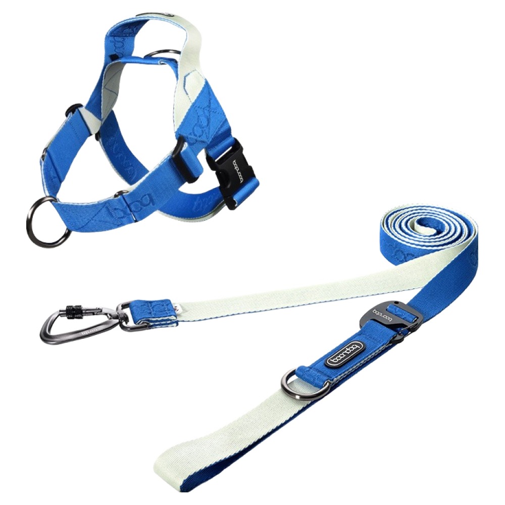 분독 강아지 플레이 카라비너 리쉬 3.2m + 0109 하네스 세트, 크림 블루, 1세트 103,350원