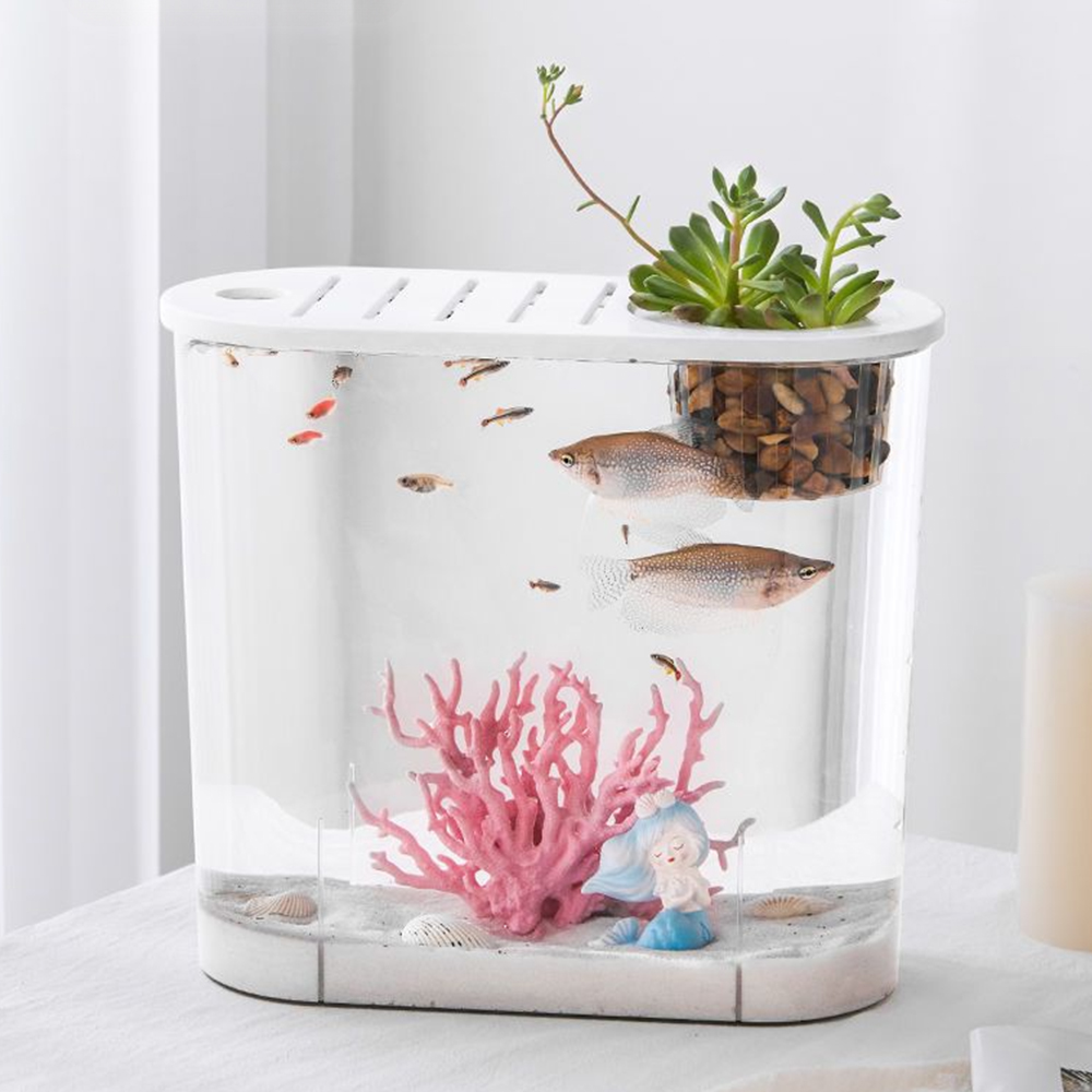 21세기트랜드 모비딕 깨지지않는 라운드형 구피 베타 탁상 안전수족관 기본형, 투명 + 화이트, 1개 16,800원