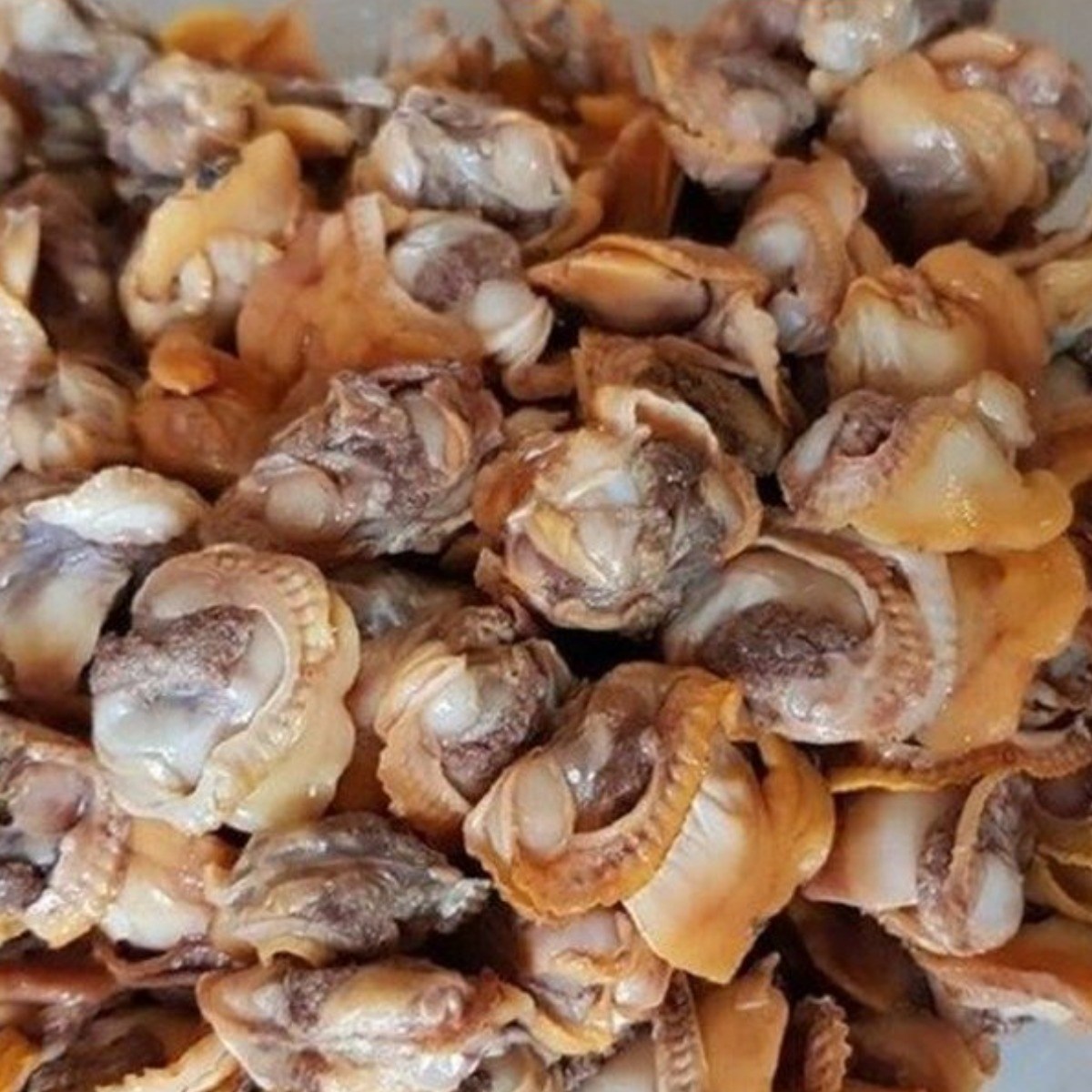 벌교 새꼬막살 1kg 손질 자숙 알꼬막살 비빔밥 무침용 개별냉동(IQF), 1개, 1개 15,900원