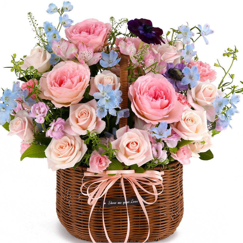 119플라워 (당일배송) 사랑하는 내마음 ST-A1871 꽃바구니 장미 당일꽃배달 전국꽃배달 생일 기념일 꽃선물 생화 꽃배달, 1개, 혼합 67,900원