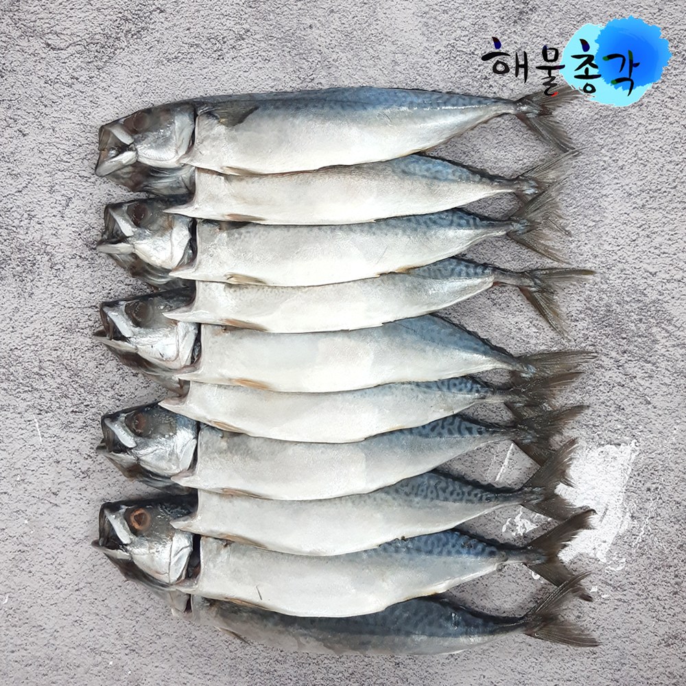 해물총각 간고등어 10마리 국내산 손질 자반고등어, 2.1kg(10마리), 1개 23,900원
