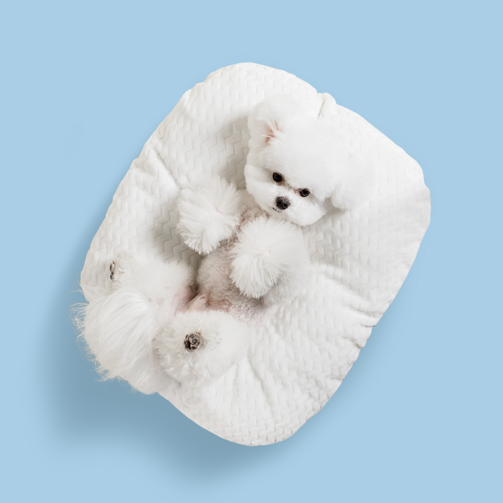 뭉연구소 쫀득 강아지 방석 고양이 애견 반려견 쿠션 24,900원