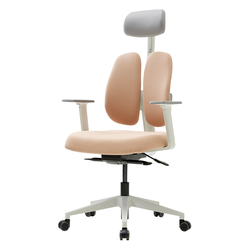 듀오백 골드 사무용 컴퓨터 책상 의자 D2500G-DASW 257,940원