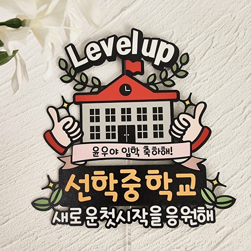 입학토퍼 꽃다발 중학교 초등학교 축하 선물 문구 케이크토퍼 DHB 8,500원