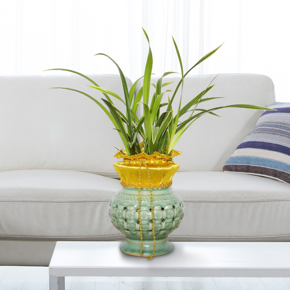 에코플라워 동양란 (대국 미니투각_35cm내외) 택배배송 수도권일부배송 사진전송 승진 영전 인사이동 진급 취임 개업 꽃배달 g-0082, 1개 59,400원