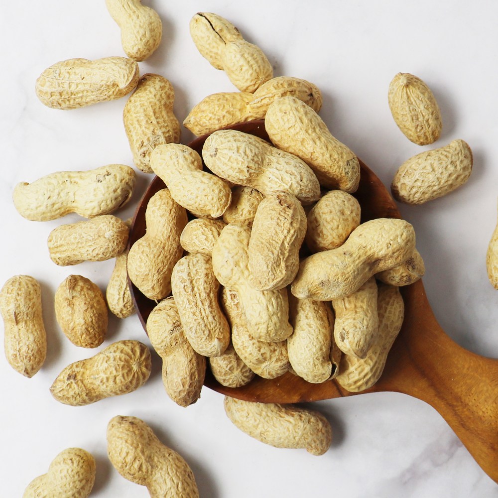 서래푸드 국내산 생땅콩 피땅콩 1kg 껍질땅콩 13,910원