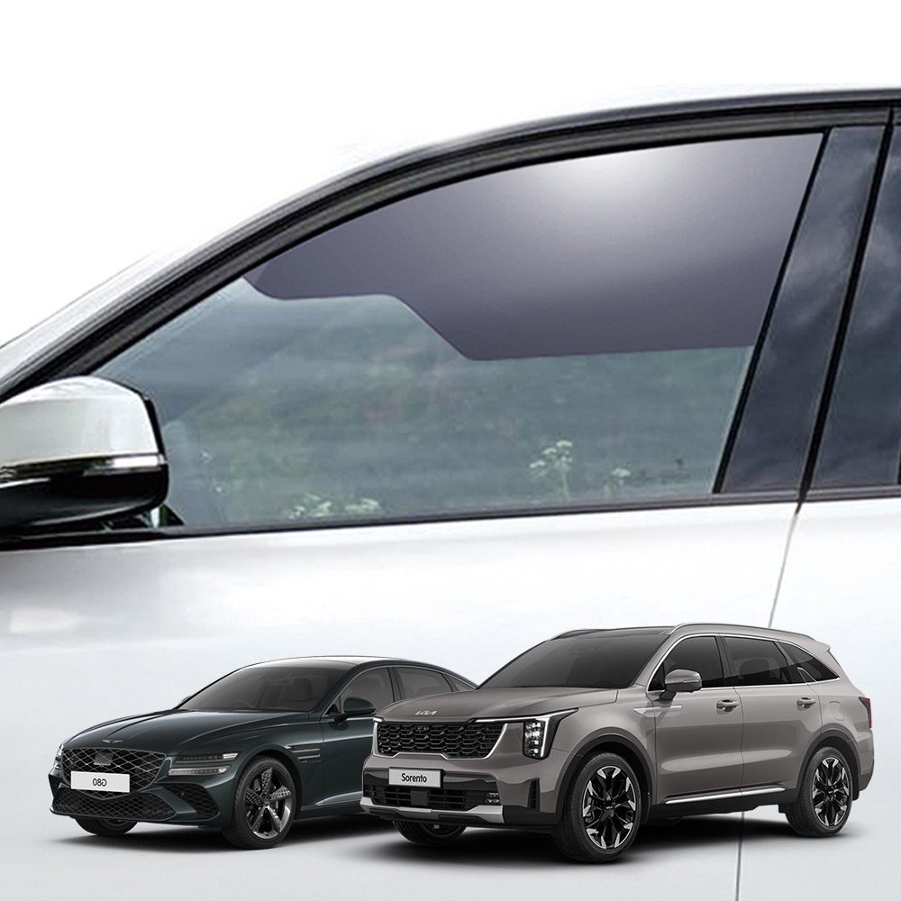 카루젠 오토가드 측면 창문 자외선 햇빛가리개 선블라인드 맞춤형 국내차 수입차, 1개, 조수석만 26,000원