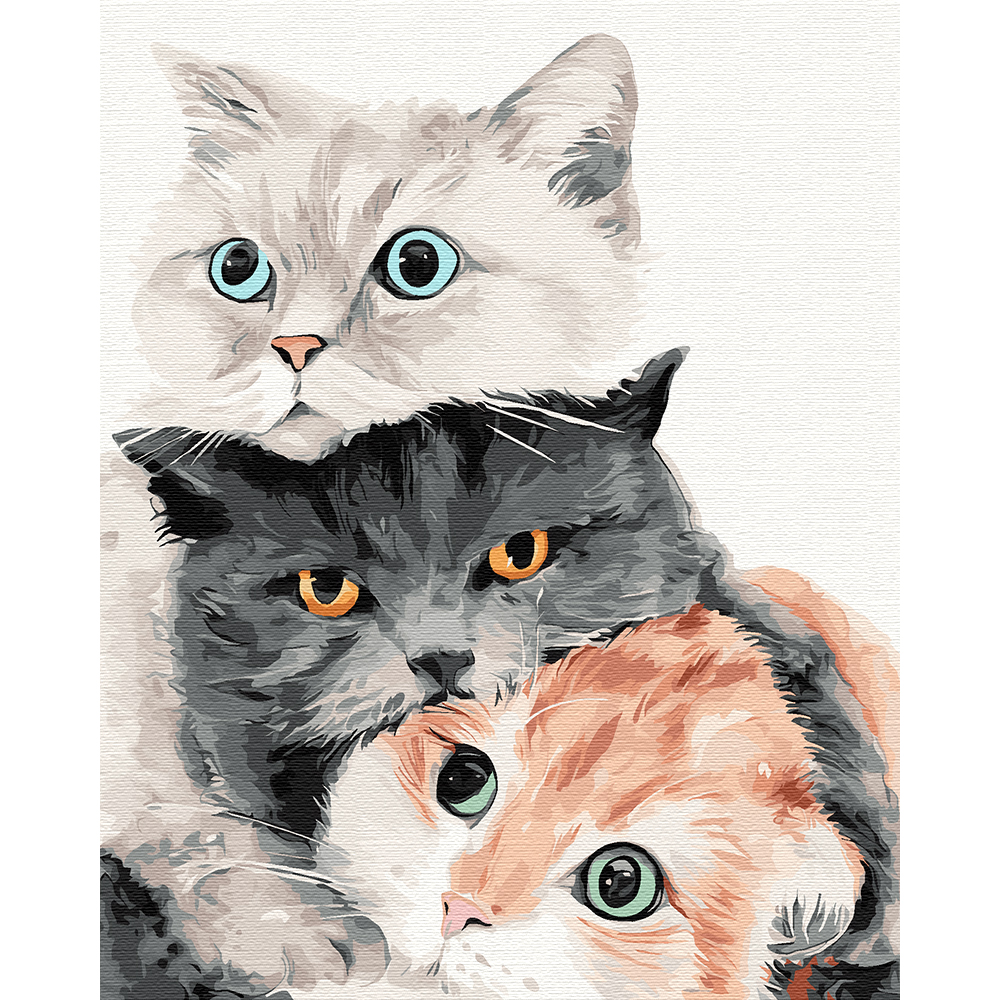 플레이어바웃 유화 피포페인팅 DIY 명화 그리기 40 x 50 cm 고양이 패밀리, 혼합색상, 1개 25,830원