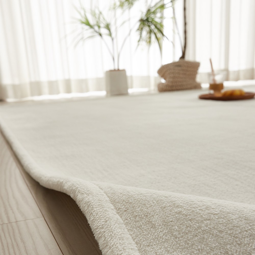 수앤우디자인 워셔블 극세사 단모 거실 미니멀 러그 26,900원