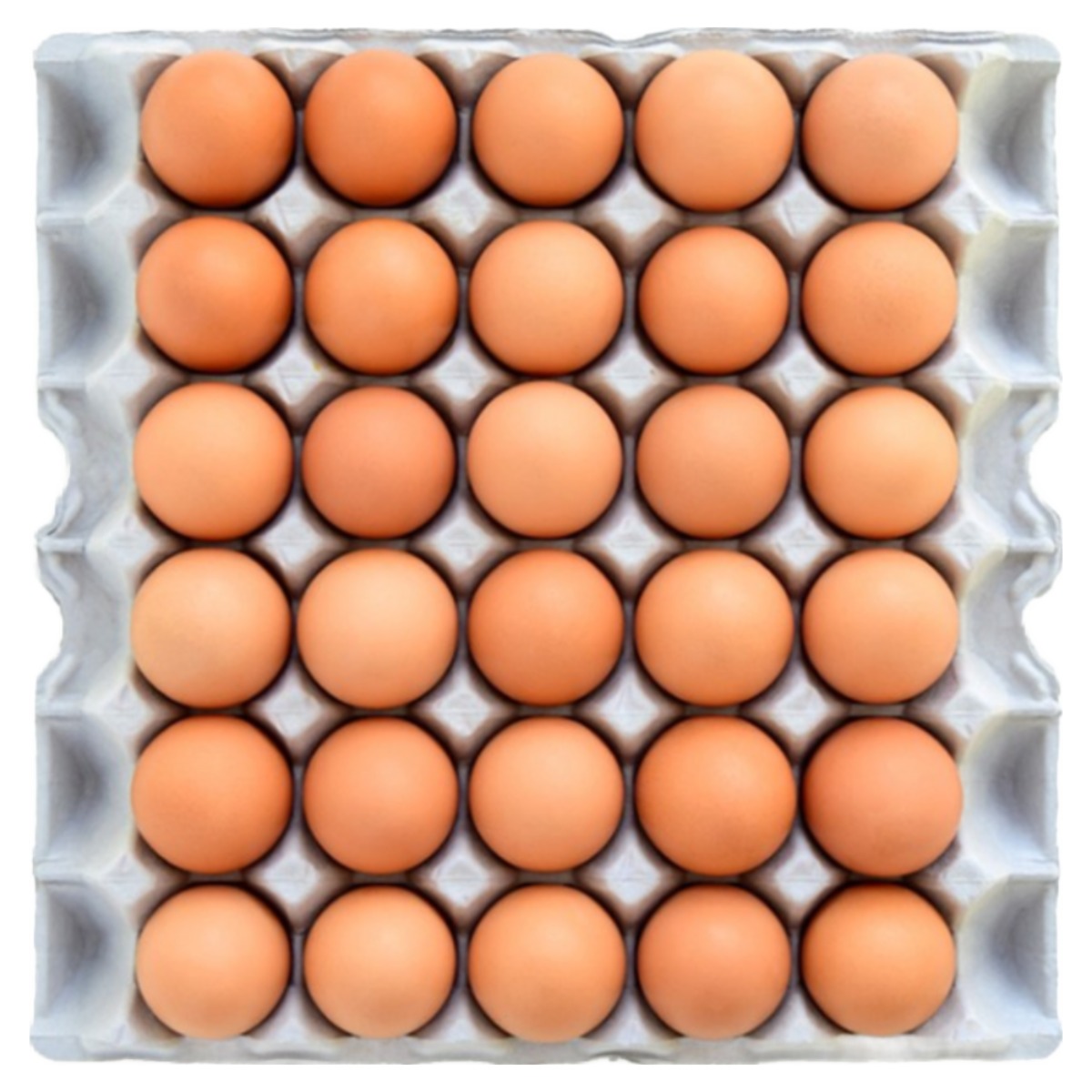 청년농부 무항생제 계란 특란 생계란 13,900원