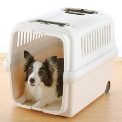 릿첼 캠핑캐리 싱글도어 L 애견강아지이동장 고양이이동장 켄넬 155,300원