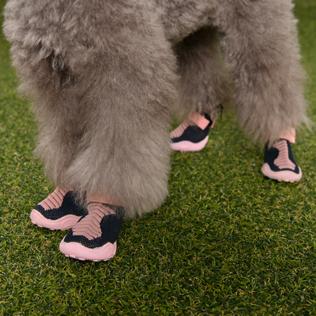 퍼피아 방방 미끄럼방지 강아지 신발 SH12166 26,900원