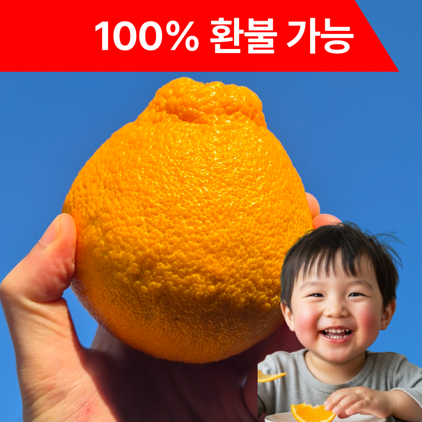 [환불보장] 제주 한라봉 농장직송 초특가 31,900원