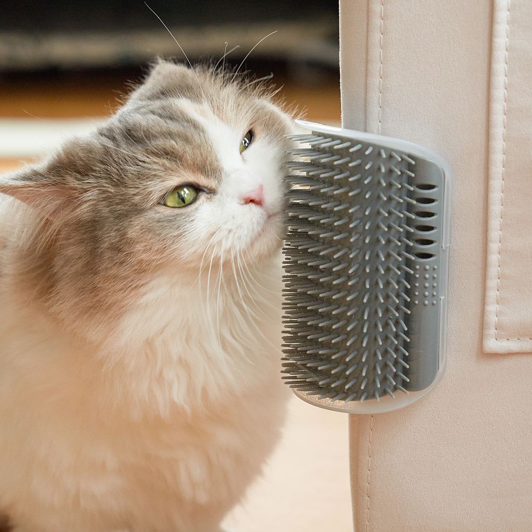 피버 반려동물 셀프그루밍 브러쉬 125 x 65 x 80 mm, 단일 색상, 1개 5,340원