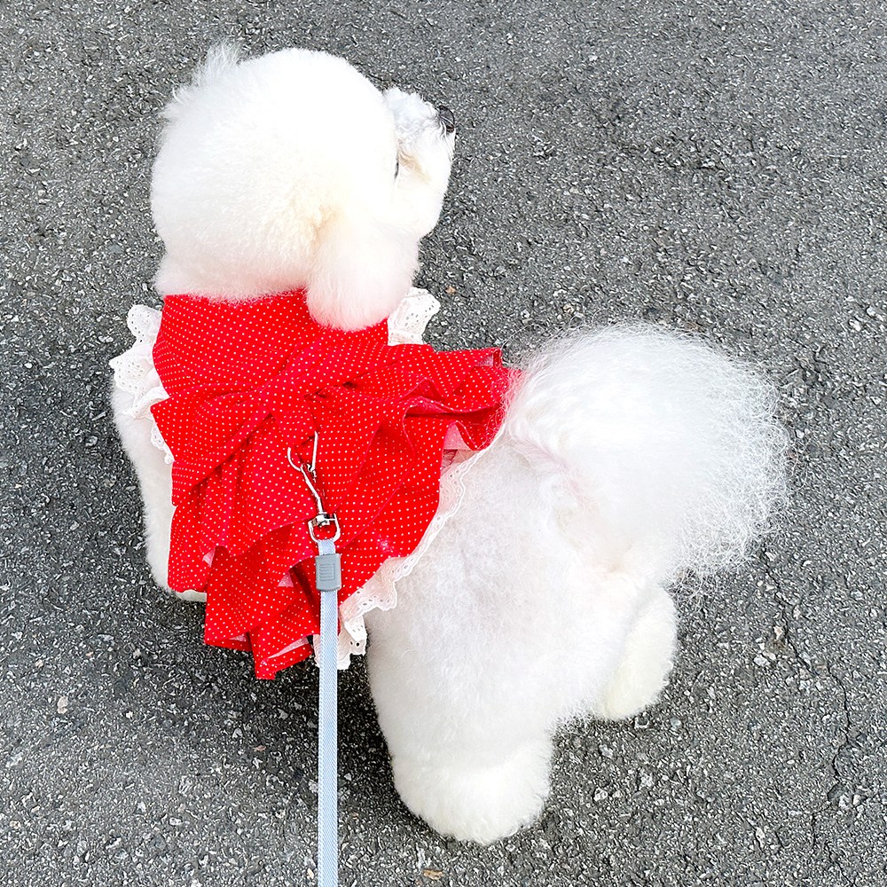 호나미네 강아지 레트로도트 하네스 원피스, 1개, 레드 26,000원