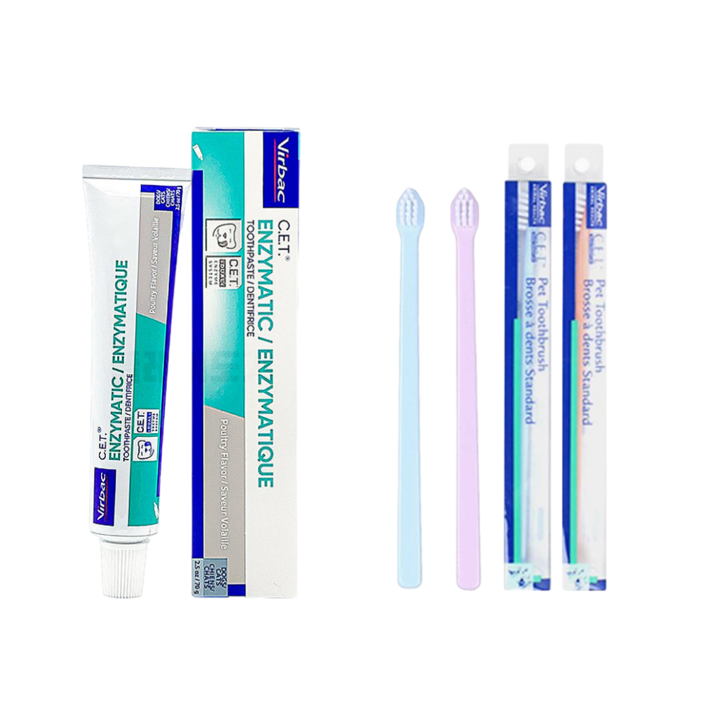 버박 닭고기맛치약 + 미니칫솔 2P 23,800원