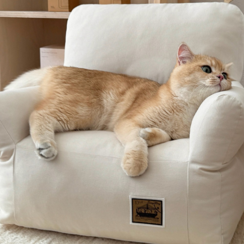 데일리테일 펫소파 강아지방석 고양이 쿠션, 1개, 아몬드크림 52,900원