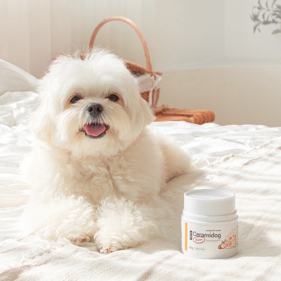 정글몬스터 반려동물 세라마이독 밤, 40g, 1개 21,900원