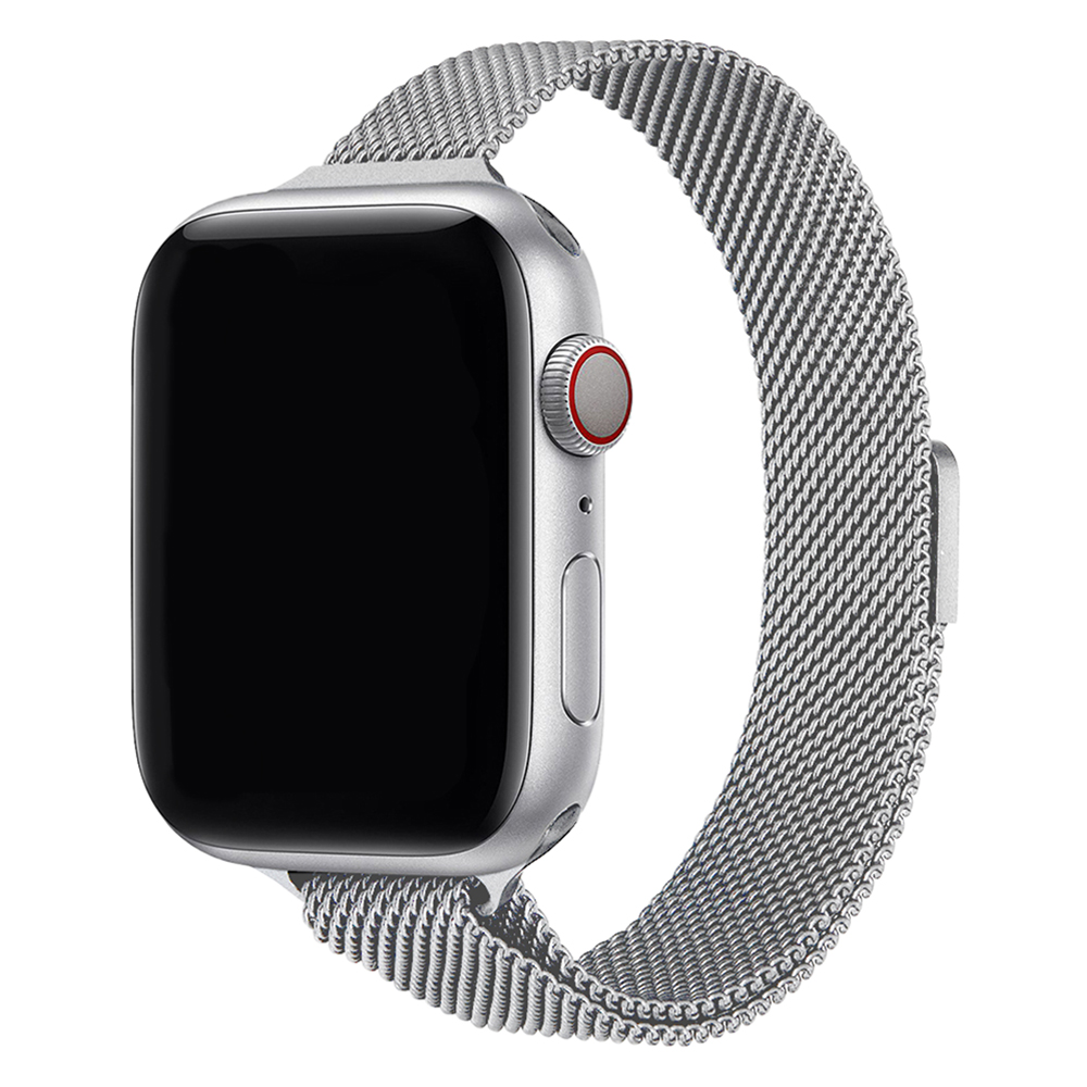 워치스탠다드 슬림 마그네틱 밀레니즈 루프 메탈 스트랩, 1개, 실버 7,900원