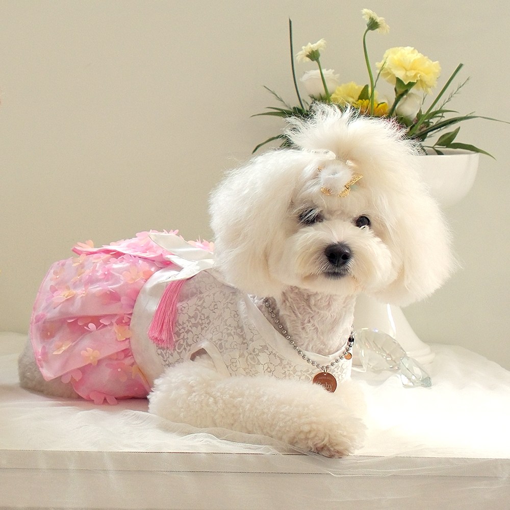 해피앤퍼피 강아지한복 대형견 빅사이즈한복 고양이 고급 한복 88,250원