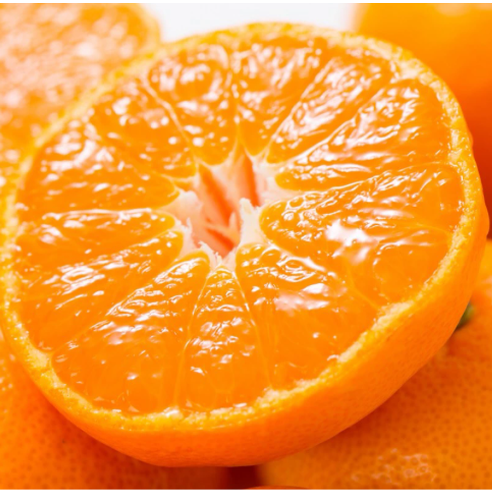 [특품] 비파괴당도선별 최대17brix 초고당도 레드향 18,900원