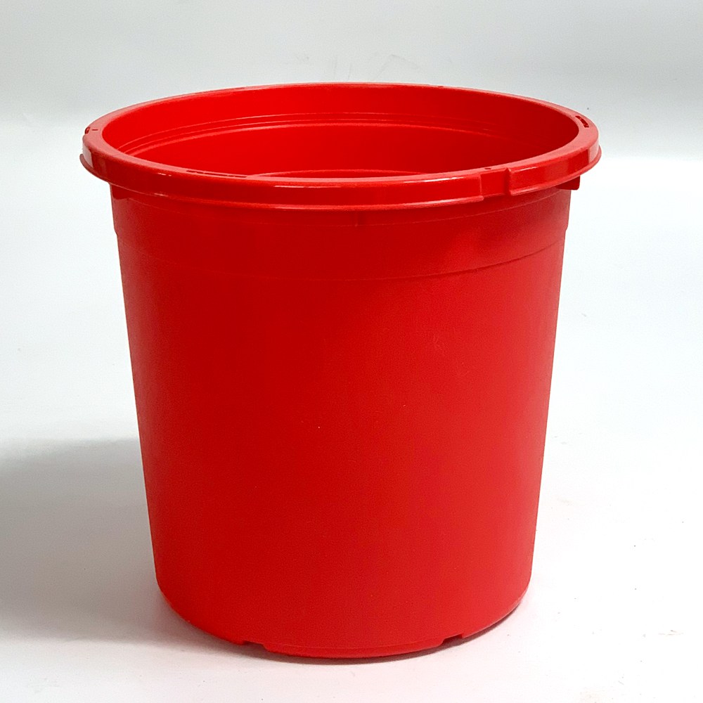 재배분DS210(빨강) 25개 플라스틱화분 분갈이흙 모종, 25개, 빨강 45,000원