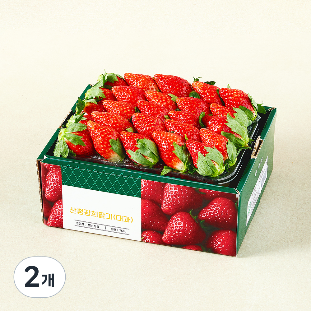 [로켓프레시] GAP 인증 산청 장희딸기 대 21,800원