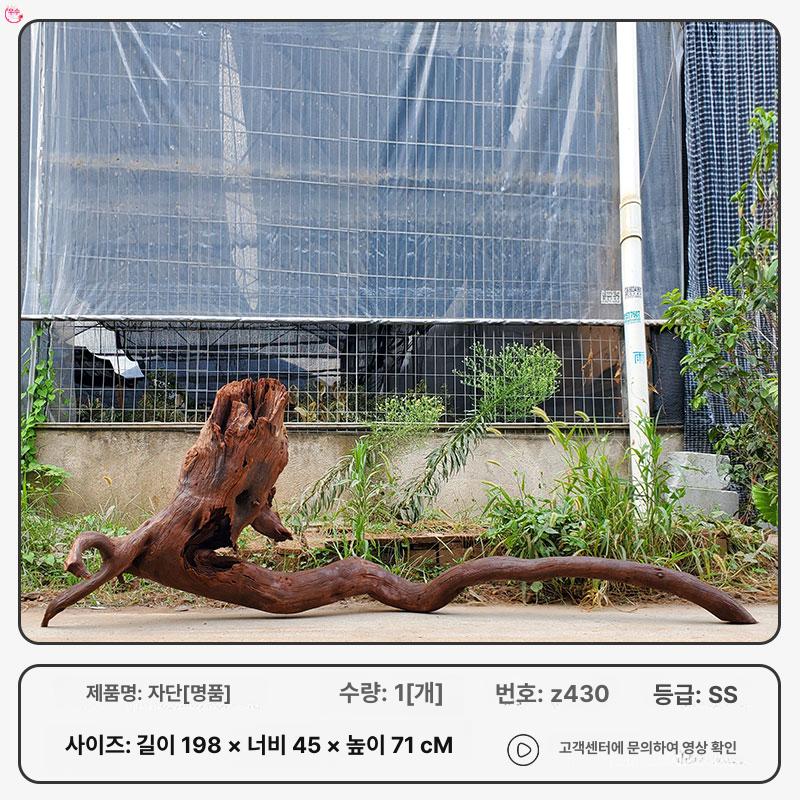 어항 수족관 성형유목 장식품 관상어 해수어 식물 수생 620,600원