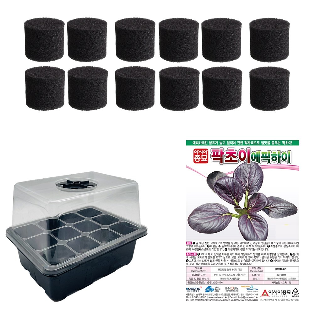 청경채수경재배키우기 씨앗 화분세트, 1개 5,590원