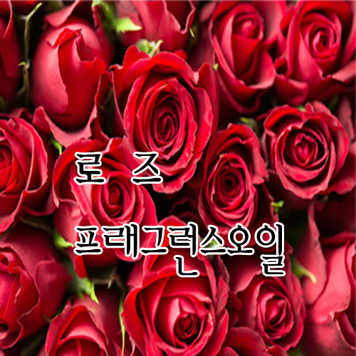 [허니솝] 프래그런스 오일 20ml,50ml,100ml 비누만들기재료, 화장품DIY 3,400원