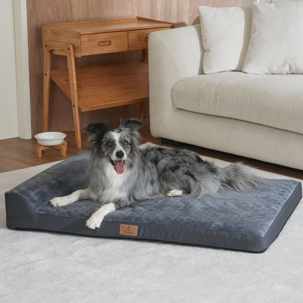 강아지 마약방석 방수 세탁 가능한 커버 미끄럼방지 소형견 중형견 대형견 애견 쿠션 푹신한 사계절 반려동물 펫방석, 진그레이, 1개 58,500원