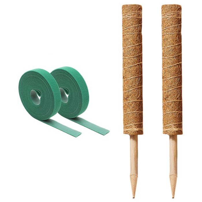 미화부장 식물지지대 수태봉2개+원예용벨크로2개 10,800원