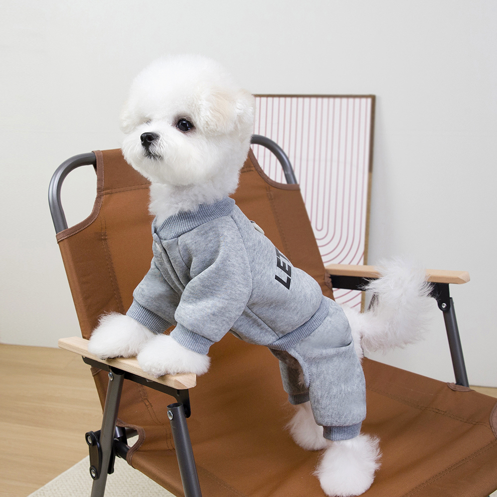 파스텔펫  반려동물 렛츠고 트레이닝 올인원 7,800원