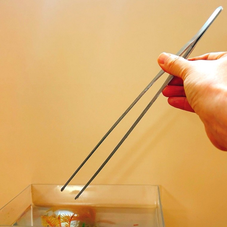 수조청소 긴 핀셋 어항청소 긴핀셋 수족관 수초 정리 6,090원