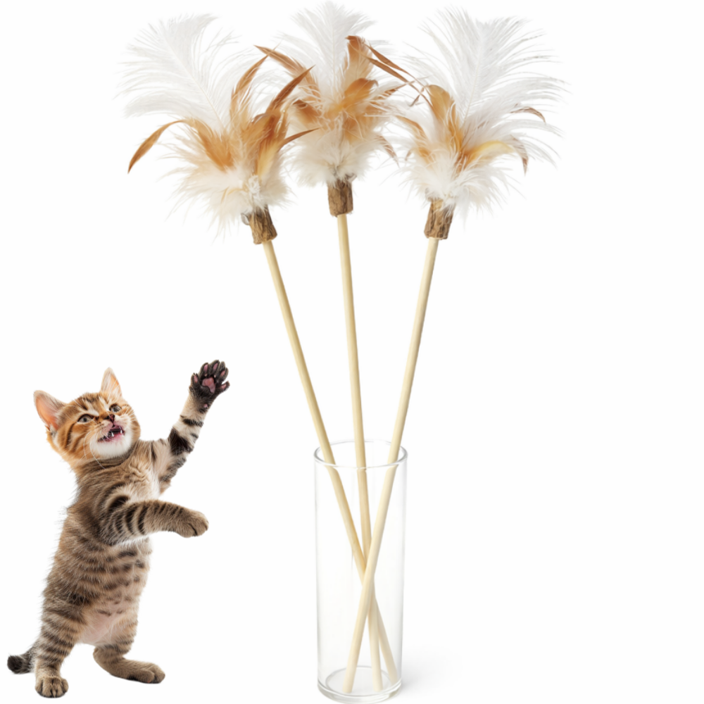 레이지웍 고양이 마따따비 리얼 깃털 이갈이 낚시대 장난감, 3개, 베이지, 현재가 14,800원