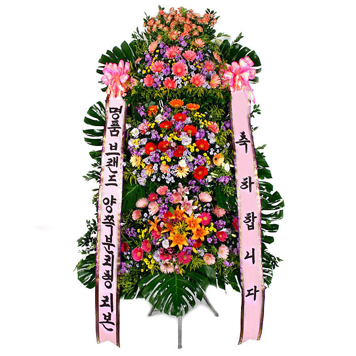 119플라워 (당일배송) 축하화환3단 ST-FA064 축하화환 화환 결혼식 행사용 환갑 승진 영전 전시회 개업 전국꽃배달 준공 결혼화환 결혼축하화환 꽃선물 꽃배달 84,300원
