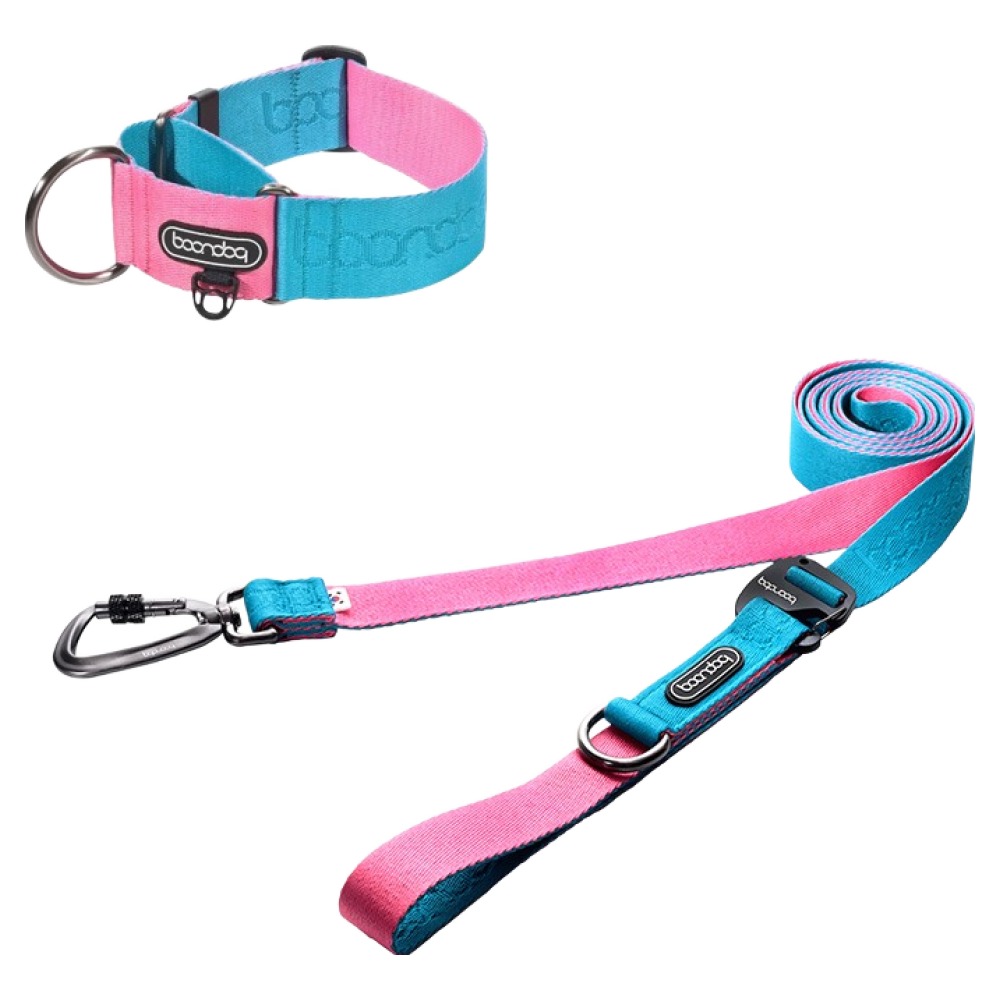 분독 플레이리쉬 리드줄 + 카라비너 와이드 목줄 세트 91,200원