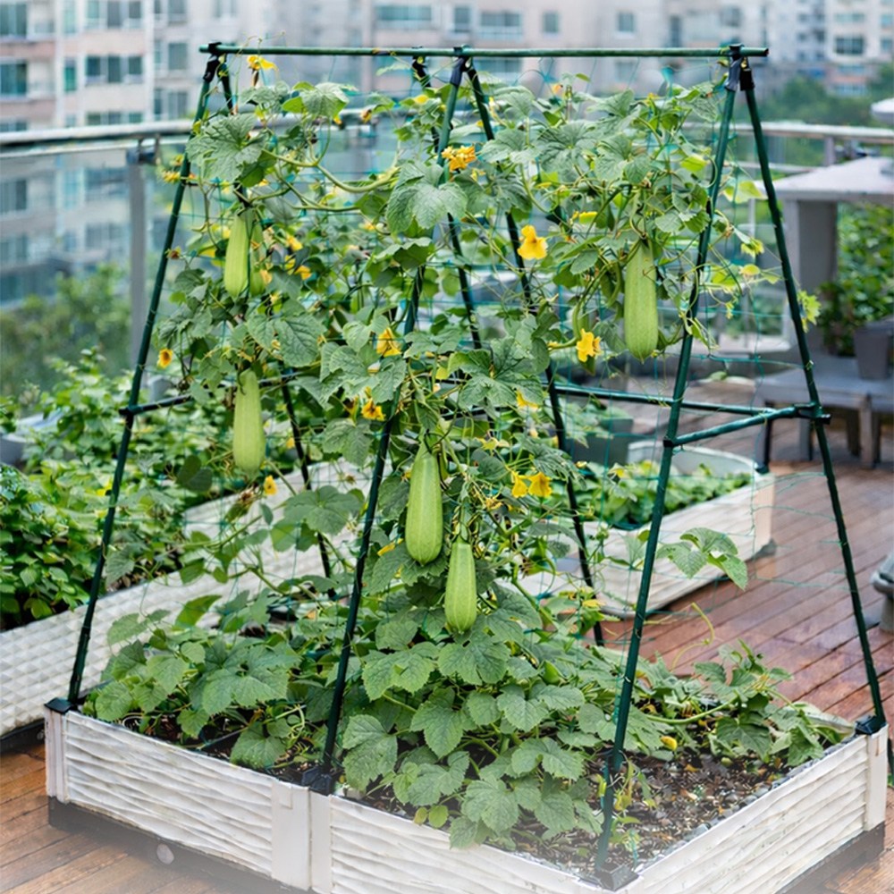 HK sell 그루온 삼각형 지지대 넝쿨식물 덩굴 텃밭 베란다 가든용, 1세트 23,800원