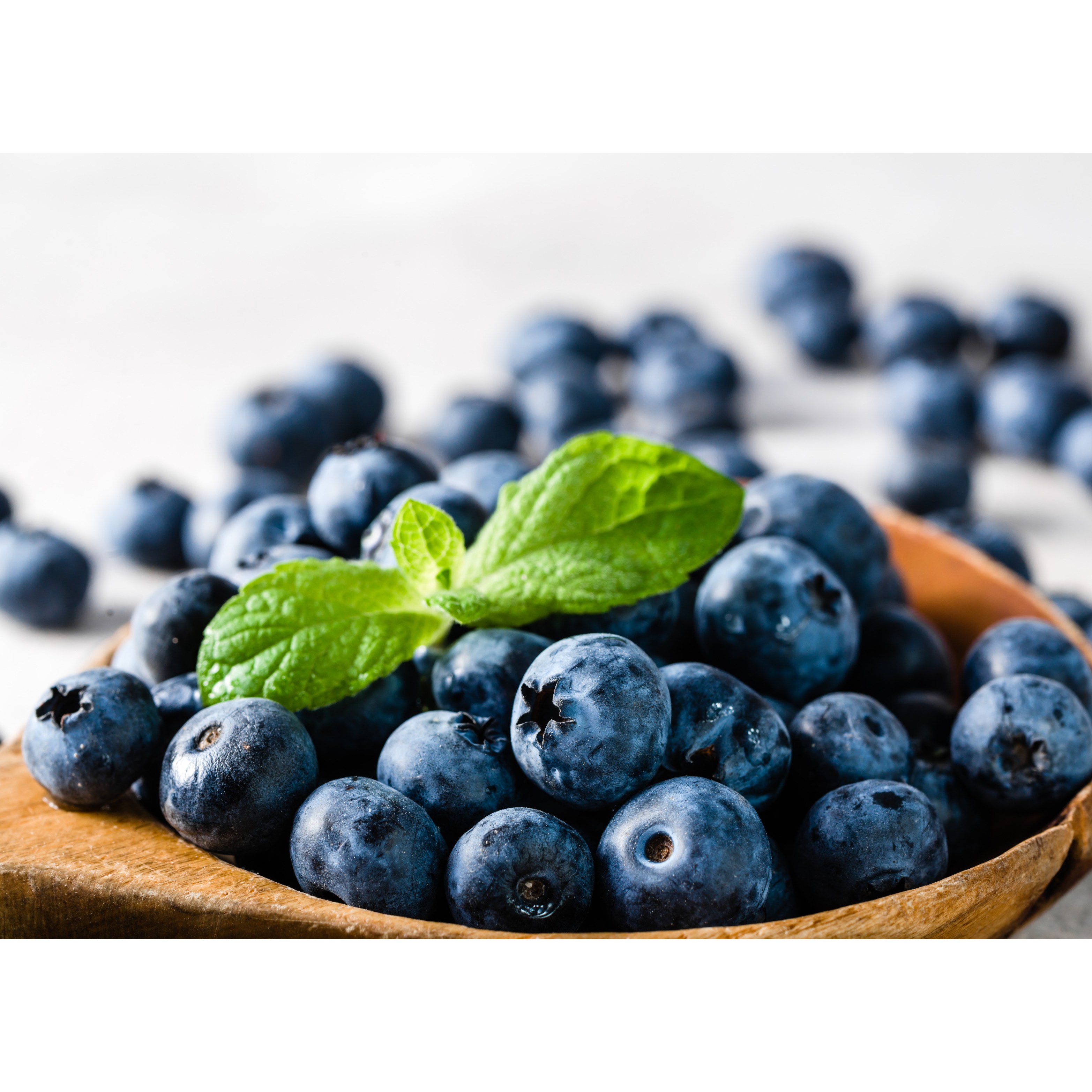 [칠레산 프레셔 생블루베리 125g] 항산화 비타민C 풍부한 신선과일 요거트 스무디 토핑용 생블루베리, 4개, 중대과(16~18mm) 33,700원