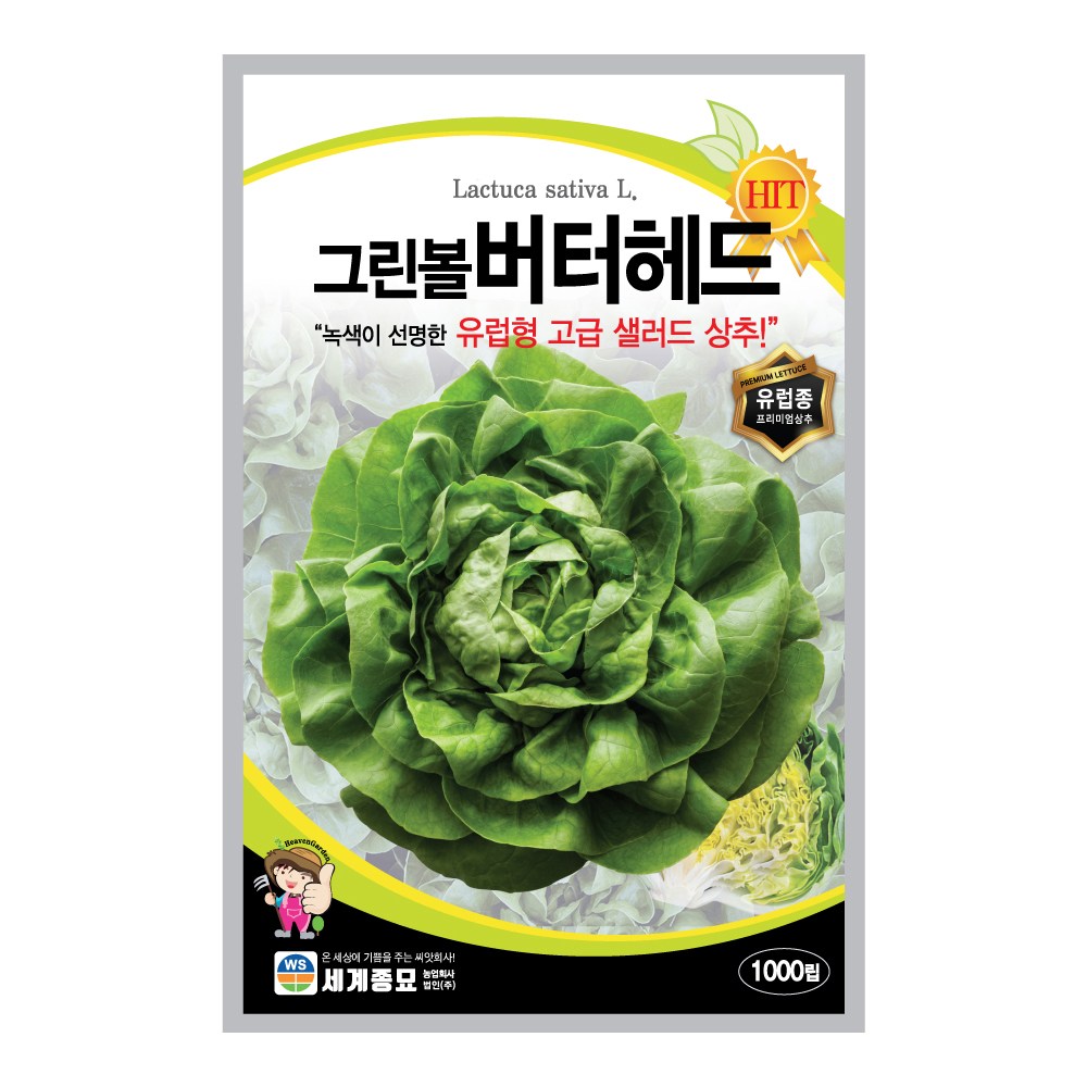 모칸도 (무배) 세계종묘 상추씨앗 그린볼버터헤드 1000립 4,000원